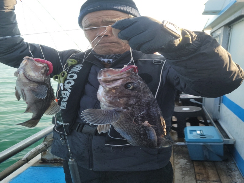 레인져호 조황갤러리입니다.