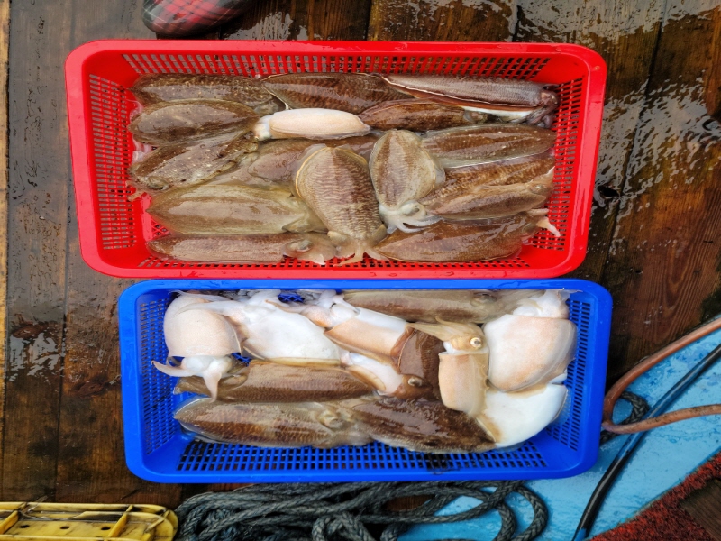 레인져호 조황갤러리입니다.