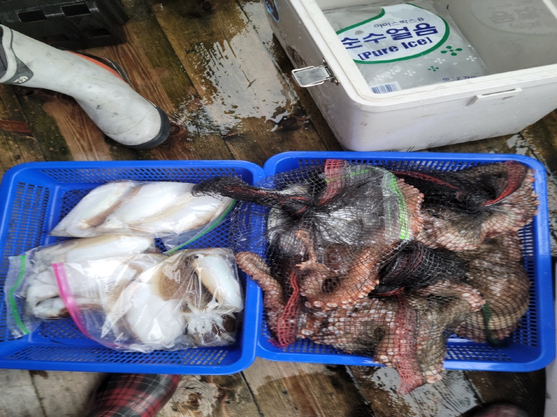 레인져호 조황갤러리입니다.