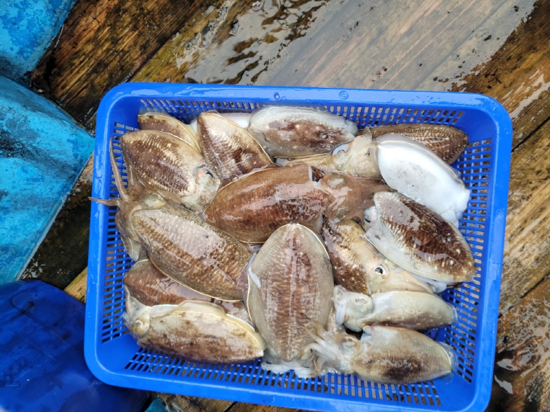 레인져호 조황갤러리입니다.