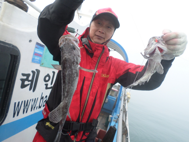 레인져호 조황갤러리입니다.