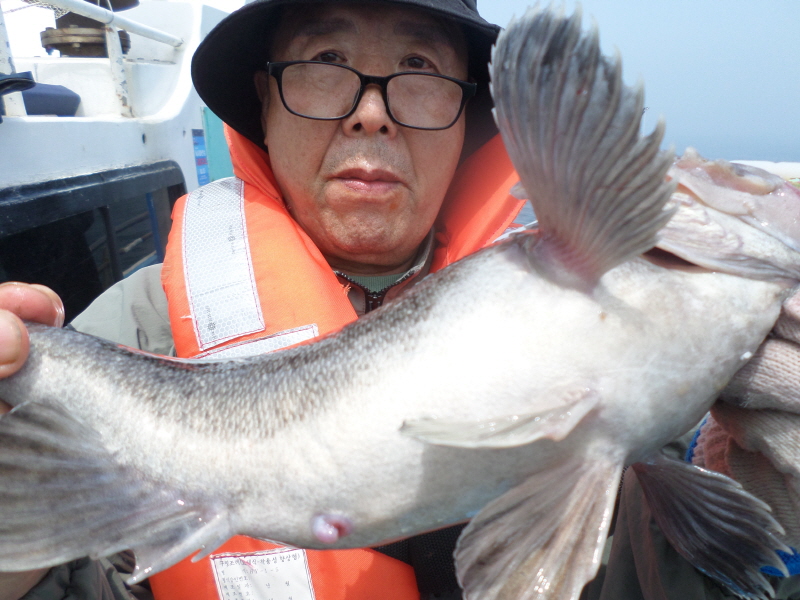 레인져호 조황갤러리입니다.