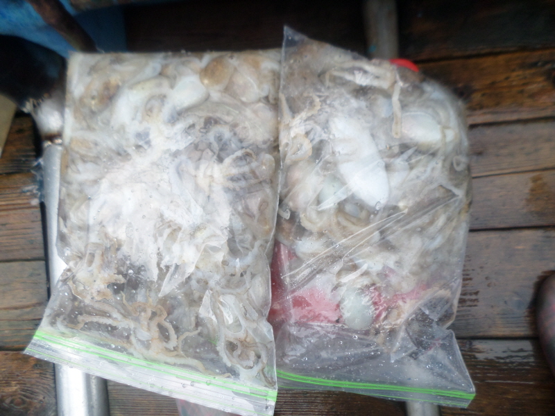 레인져호 조황갤러리입니다.