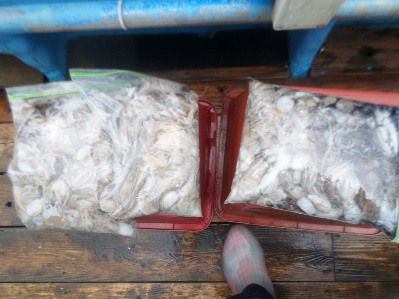 레인져호 조황갤러리입니다.