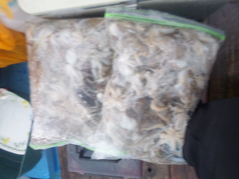 레인져호 조황갤러리입니다.