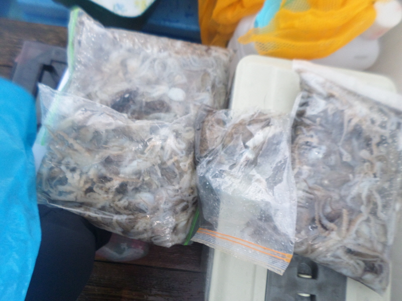 레인져호 조황갤러리입니다.