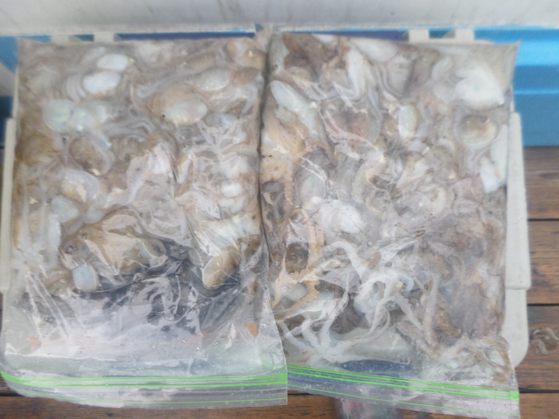 레인져호 조황갤러리입니다.