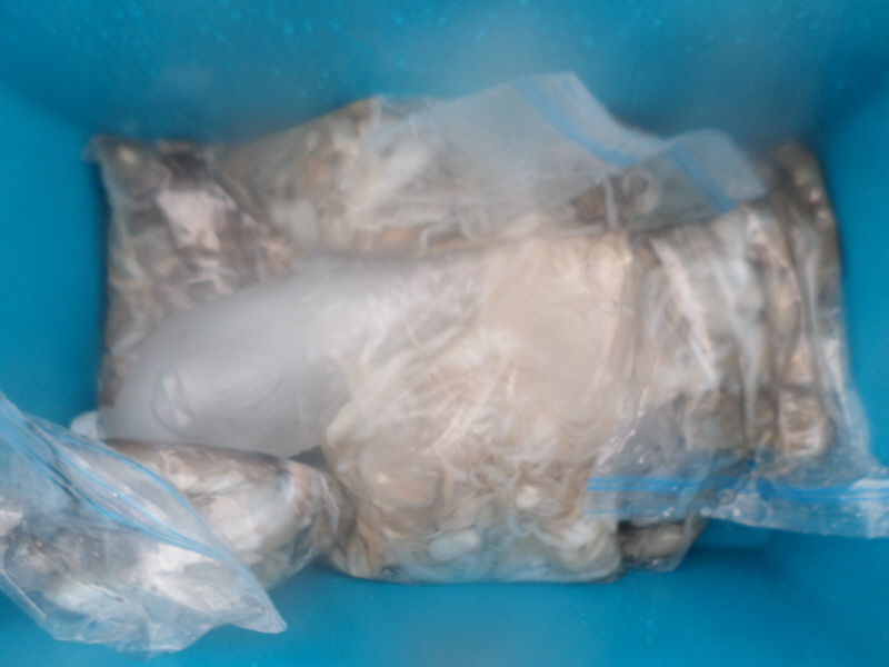 레인져호 조황갤러리입니다.