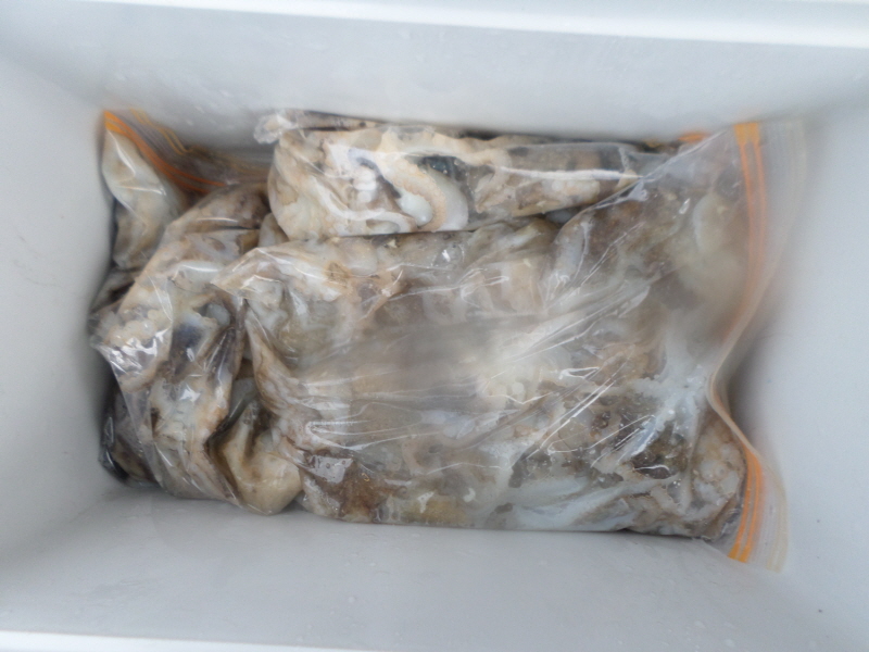 레인져호 조황갤러리입니다.