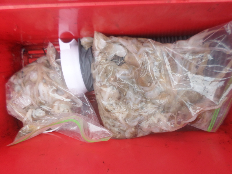 레인져호 조황갤러리입니다.