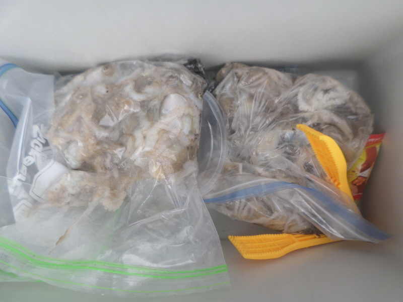 레인져호 조황갤러리입니다.