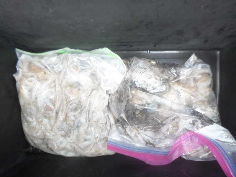 레인져호 조황갤러리입니다.