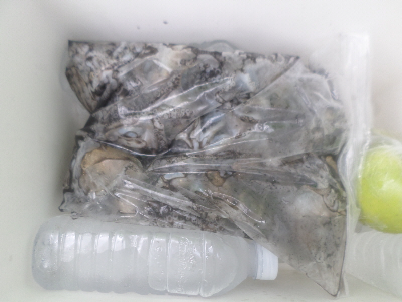 레인져호 조황갤러리입니다.