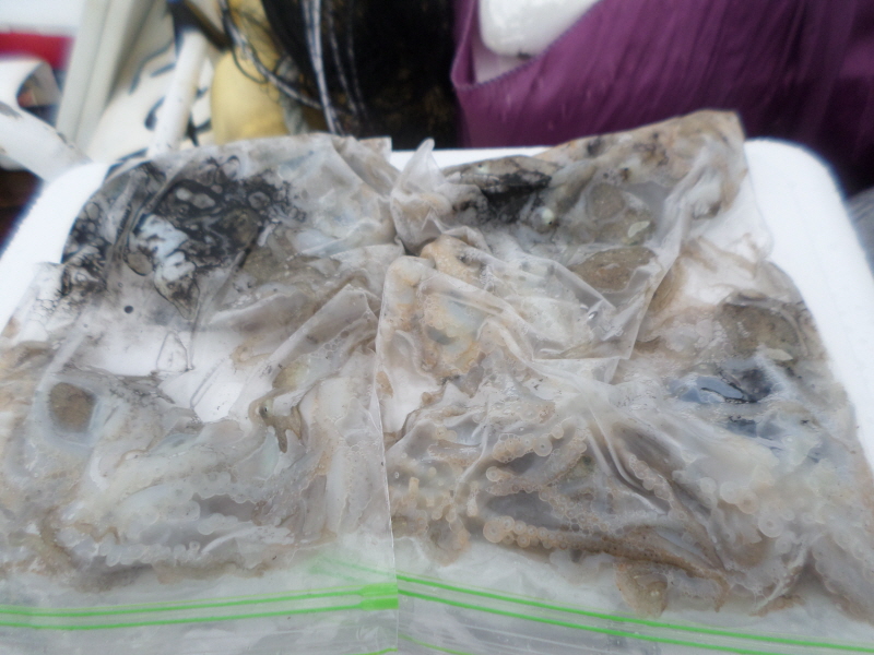 레인져호 조황갤러리입니다.