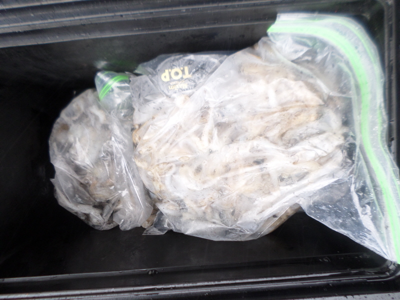 레인져호 조황갤러리입니다.