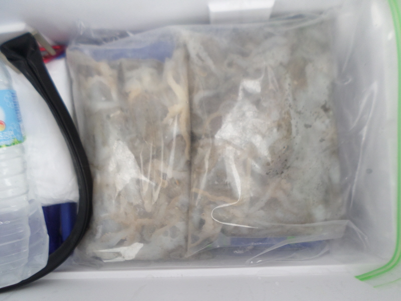 레인져호 조황갤러리입니다.