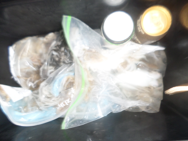 레인져호 조황갤러리입니다.