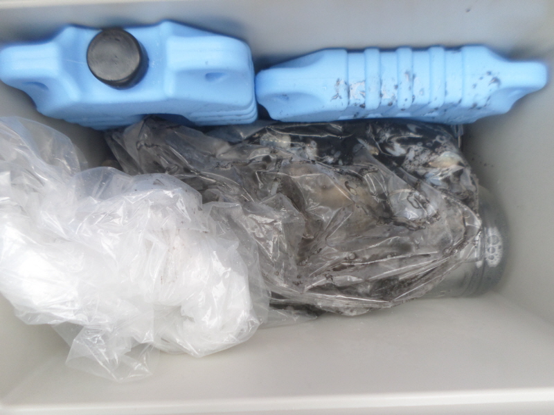 레인져호 조황갤러리입니다.