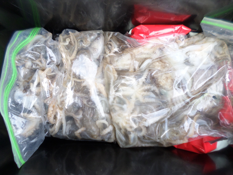 레인져호 조황갤러리입니다.