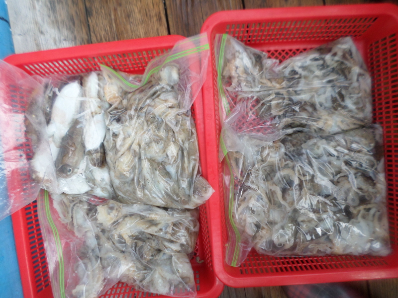 레인져호 조황갤러리입니다.