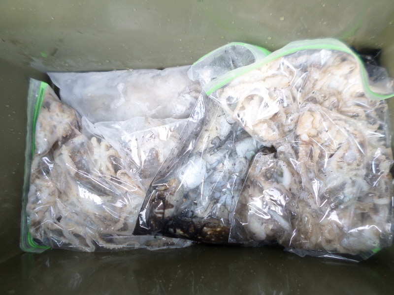 레인져호 조황갤러리입니다.