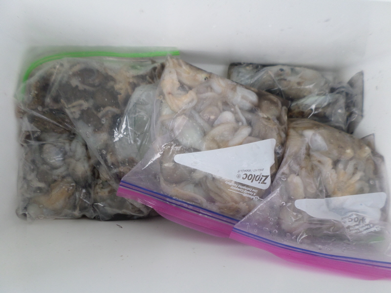 레인져호 조황갤러리입니다.