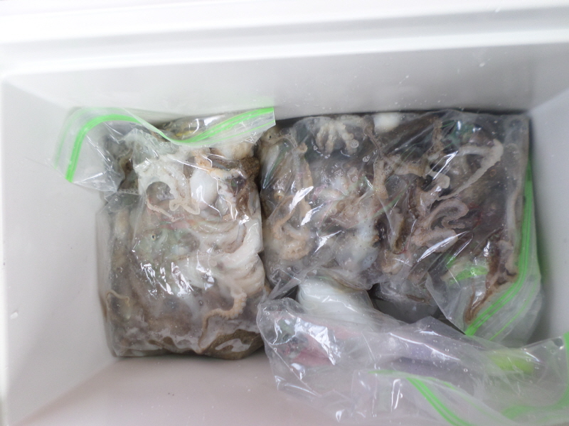 레인져호 조황갤러리입니다.