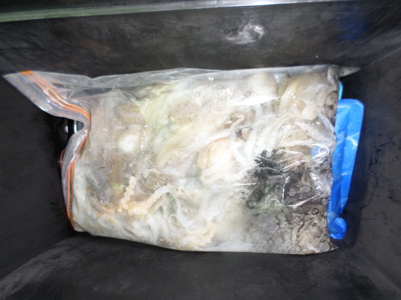 레인져호 조황갤러리입니다.