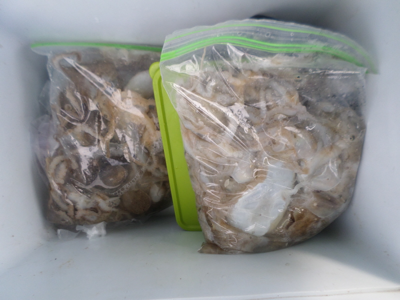 레인져호 조황갤러리입니다.