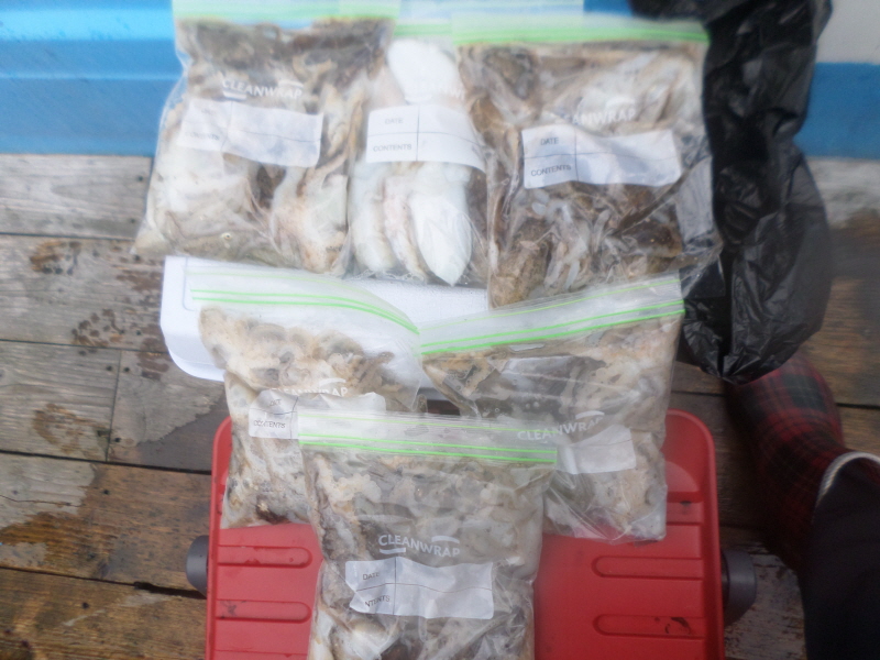 레인져호 조황갤러리입니다.