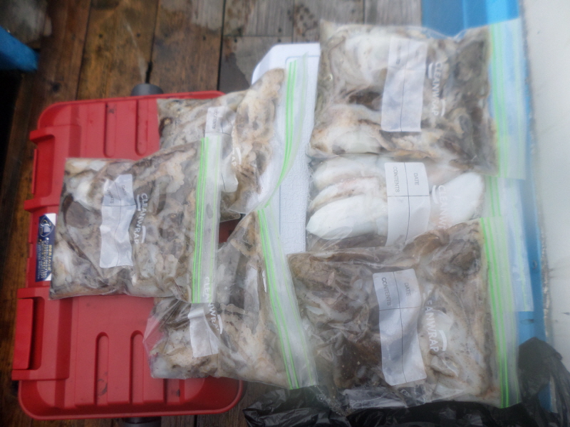 레인져호 조황갤러리입니다.