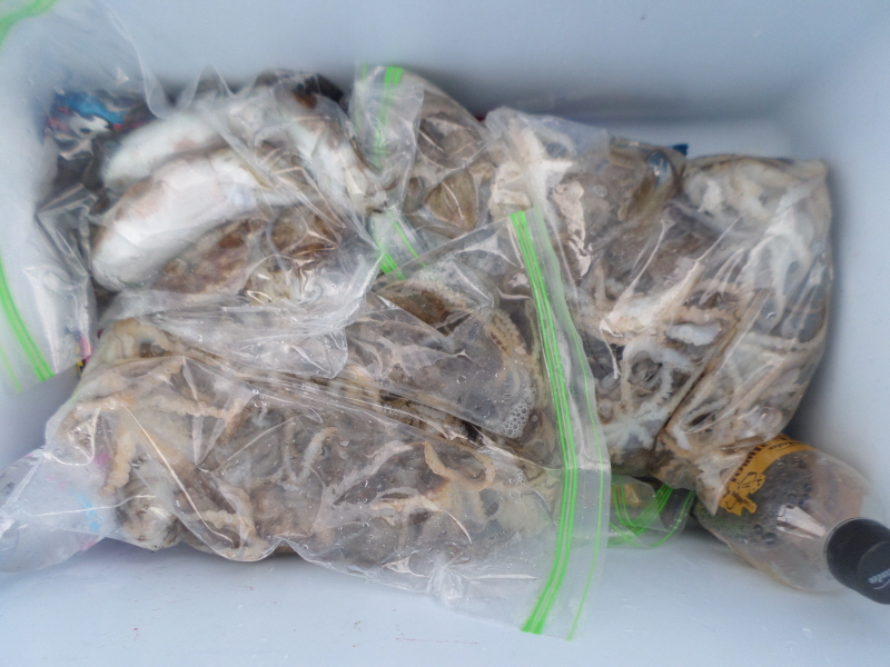 레인져호 조황갤러리입니다.