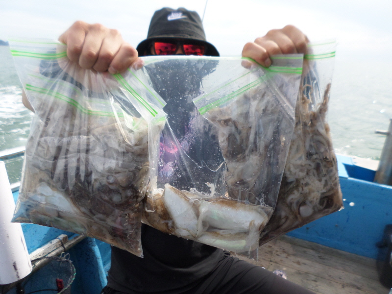 레인져호 조황갤러리입니다.