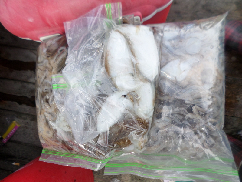 레인져호 조황갤러리입니다.