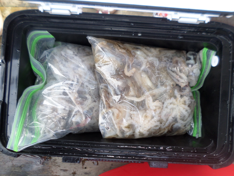 레인져호 조황갤러리입니다.