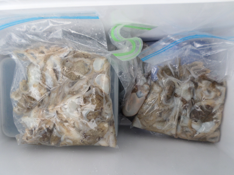 레인져호 조황갤러리입니다.