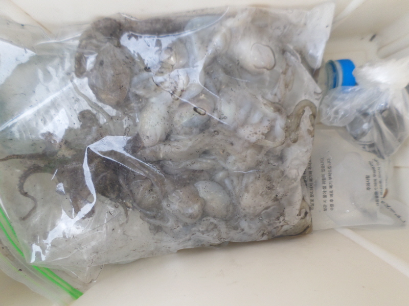 레인져호 조황갤러리입니다.