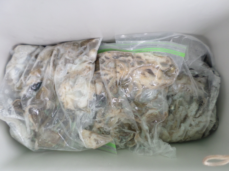 레인져호 조황갤러리입니다.