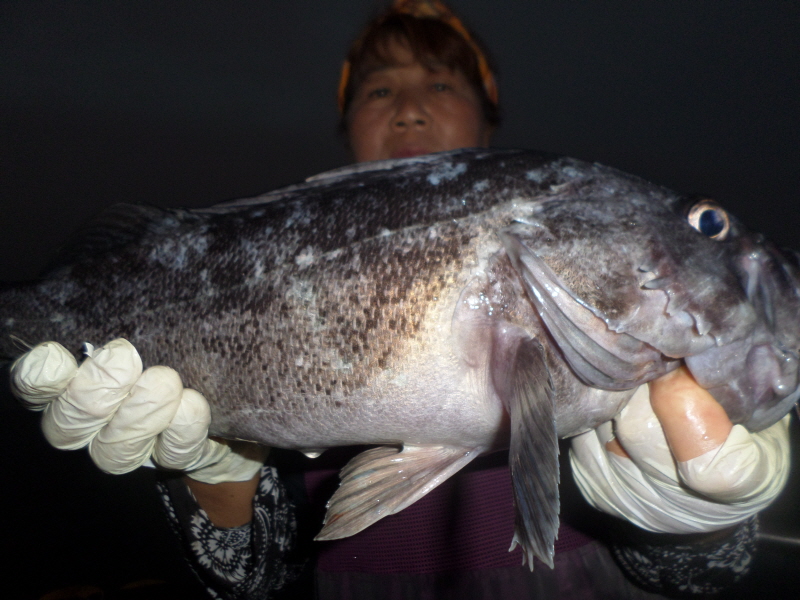 레인져호 조황갤러리입니다.