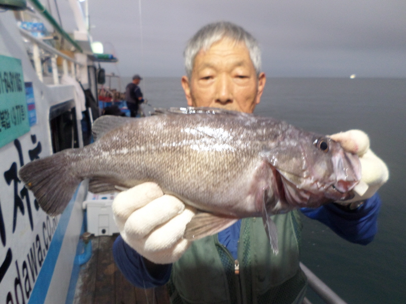 레인져호 조황갤러리입니다.