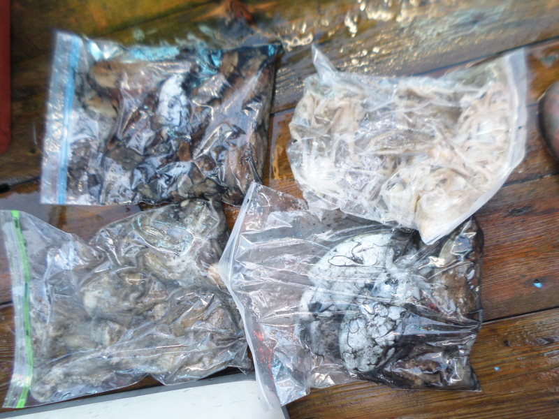 레인져호 조황갤러리입니다.