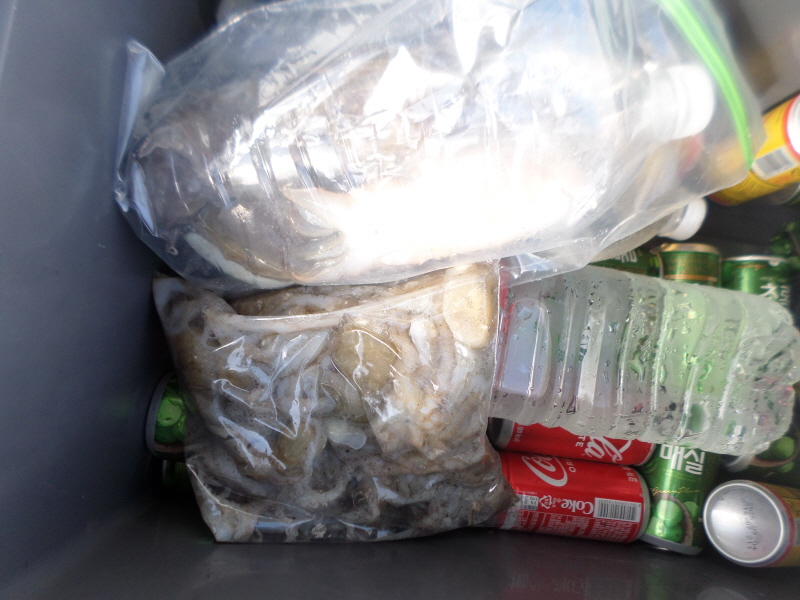 레인져호 조황갤러리입니다.