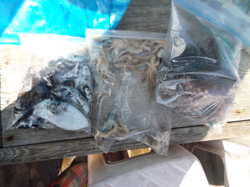 레인져호 조황갤러리입니다.