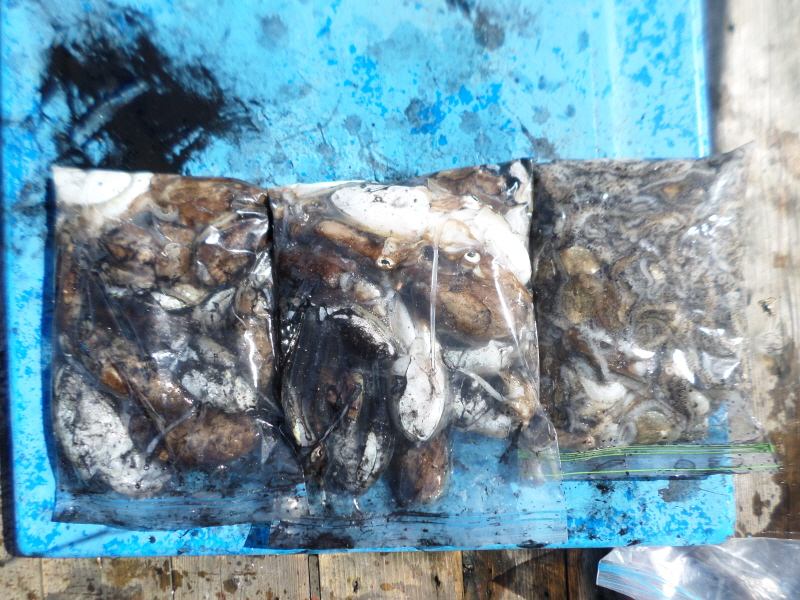 레인져호 조황갤러리입니다.