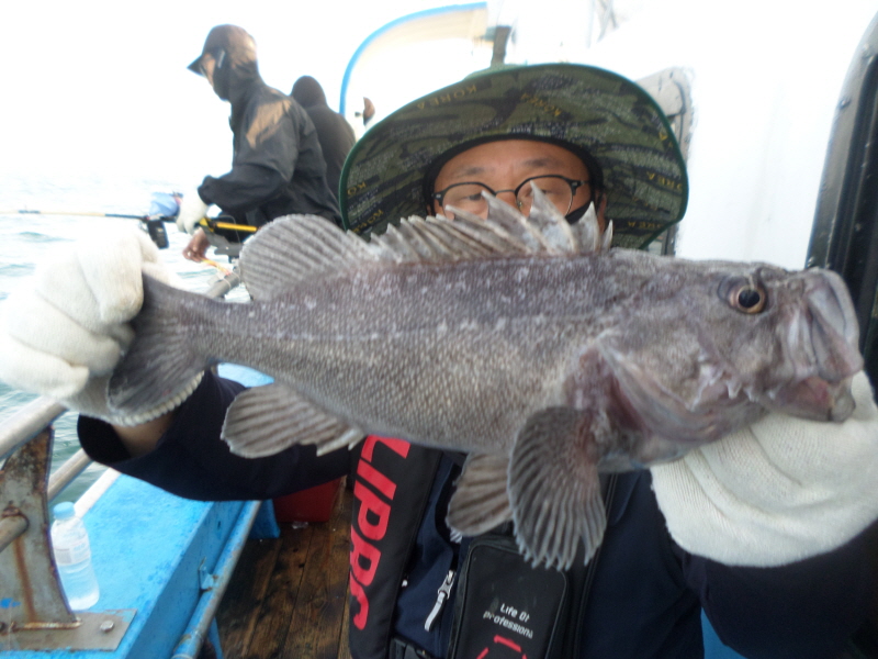 레인져호 조황갤러리입니다.