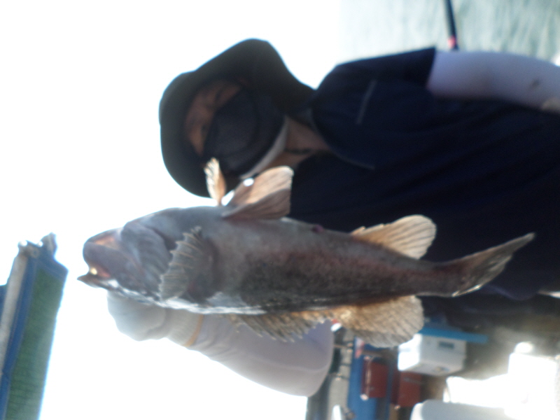 레인져호 조황갤러리입니다.