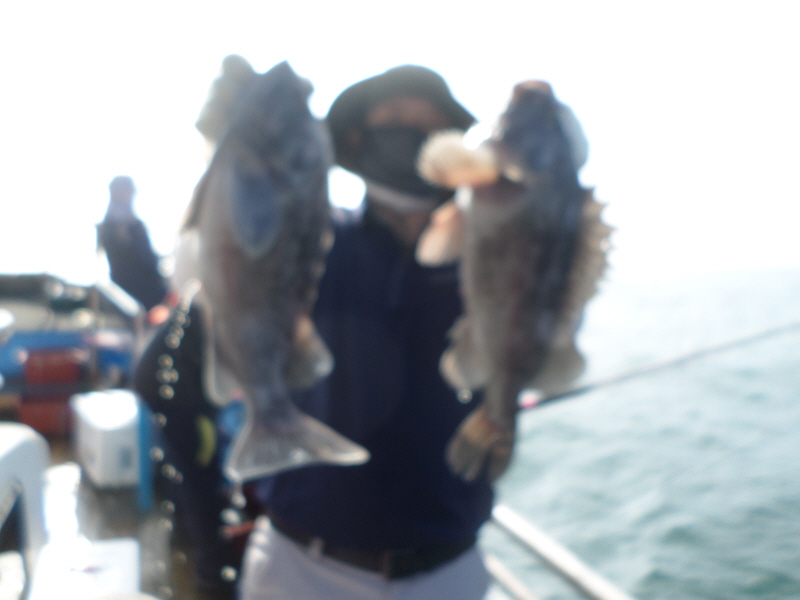 레인져호 조황갤러리입니다.