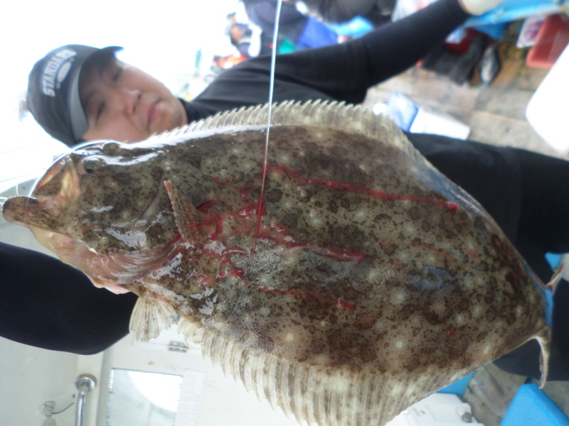 레인져호 조황갤러리입니다.