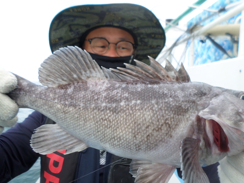 레인져호 조황갤러리입니다.