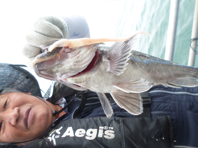 레인져호 조황갤러리입니다.